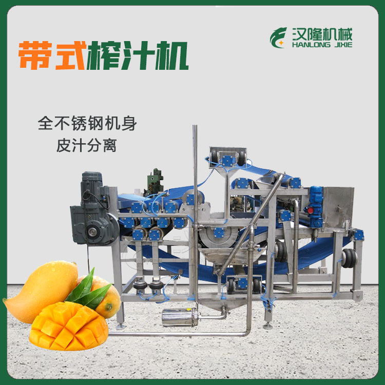DYJ型水果榨汁機 全（quán）自動不鏽（xiù）鋼榨汁機 大型帶式榨汁機