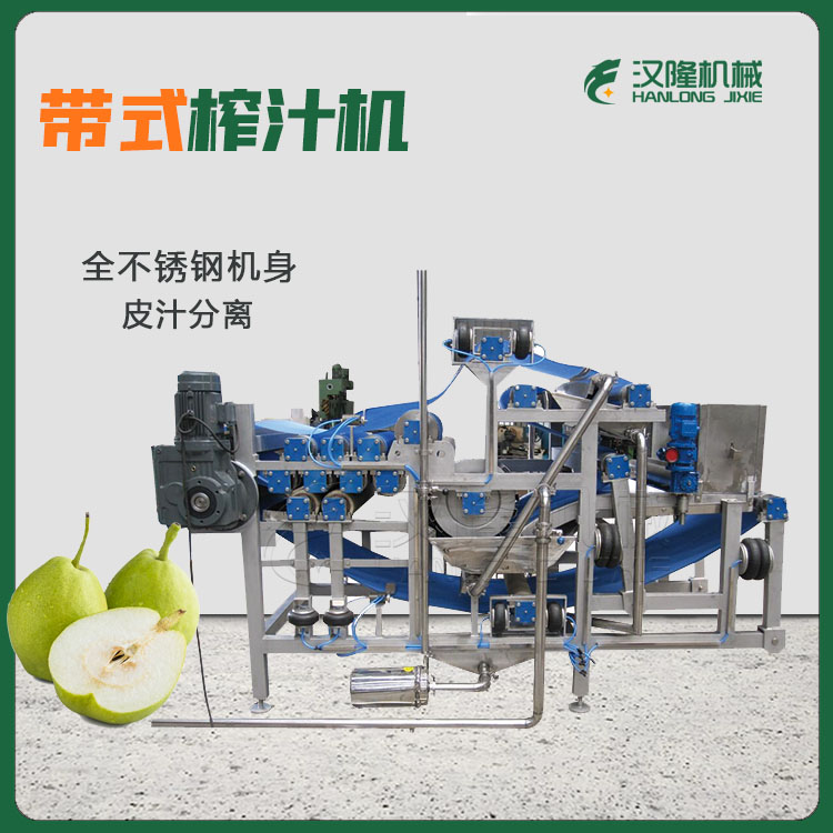 多功能梨汁榨汁機 DYJ型全自（zì）動大型工業不鏽鋼水果榨汁機 可定製（zhì）