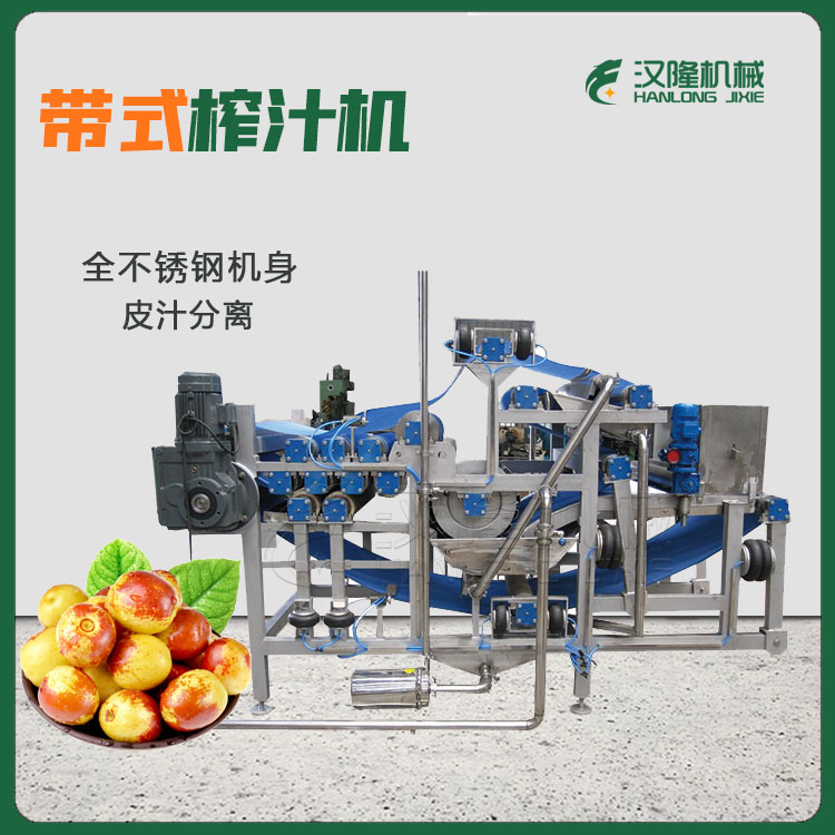 多種水（shuǐ）果榨汁機 全自動大型工業果蔬榨汁機 可定製不鏽鋼水（shuǐ）果榨汁機