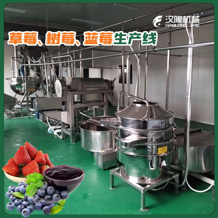 供應成套大中小（xiǎo）型藍莓、樹莓、草莓汁生產線生產線全自動設（shè）備【廠家供應（yīng）】