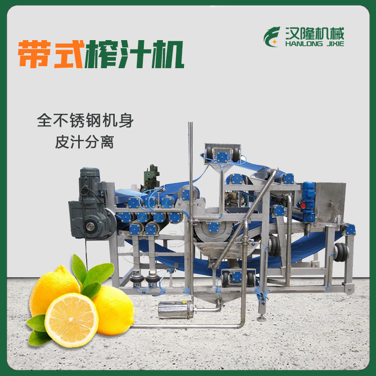 廠家加工定製供應椰奶帶（dài）式榨汁機 飲料生產設備蔬菜榨汁機