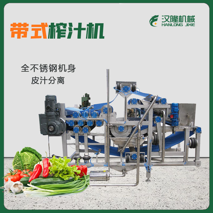 全新2-20噸帶式（shì）氣囊壓榨機 擠（jǐ）壓機 濃縮瓜果蔬菜汁榨汁設（shè）備