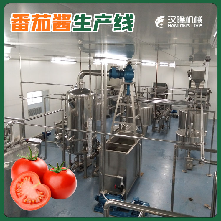 廠（chǎng）家銷（xiāo）售番茄醬（jiàng）生 產線 全自動番茄清洗風幹（gàn）線