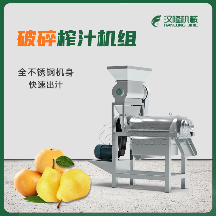大產量渣汁分離（lí）水果破碎榨汁機組蔬菜梨水果破碎（suì）榨汁（zhī）機 商（shāng）用螺旋果汁機設（shè）備