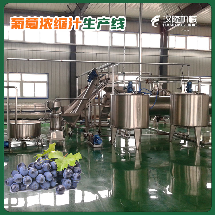 廠家供應大中小型（xíng）果汁（zhī）飲料葡萄果汁果（guǒ）酒生產線酵素生產線
