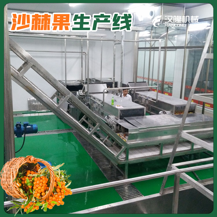 廠家直供整套果汁生產線定製果蔬深加工設備沙棘果（guǒ）整條生（shēng）產線