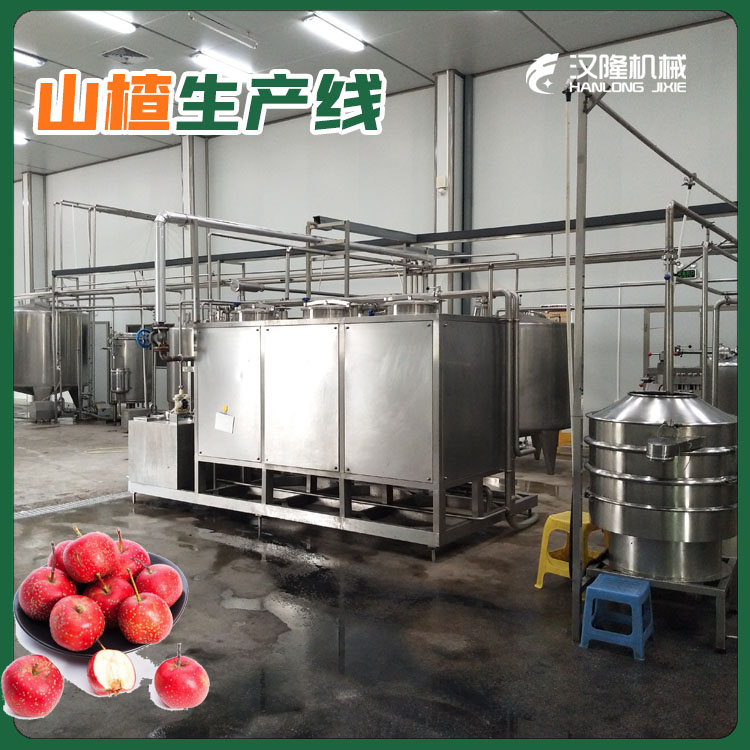 廠家直銷果蔬清（qīng）洗生產線大中小型山楂加工設備機械生產線