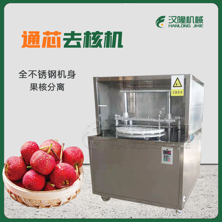 廠家直供不（bú）鏽鋼通芯高速水果去核機 商用山楂楊梅枇杷去（qù）核機 小型工業去核（hé）機